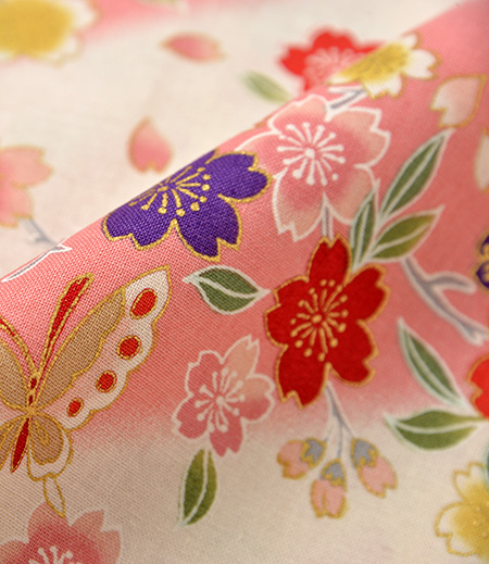 鯉口　桜と蝶（ピンク／さくら）画像6